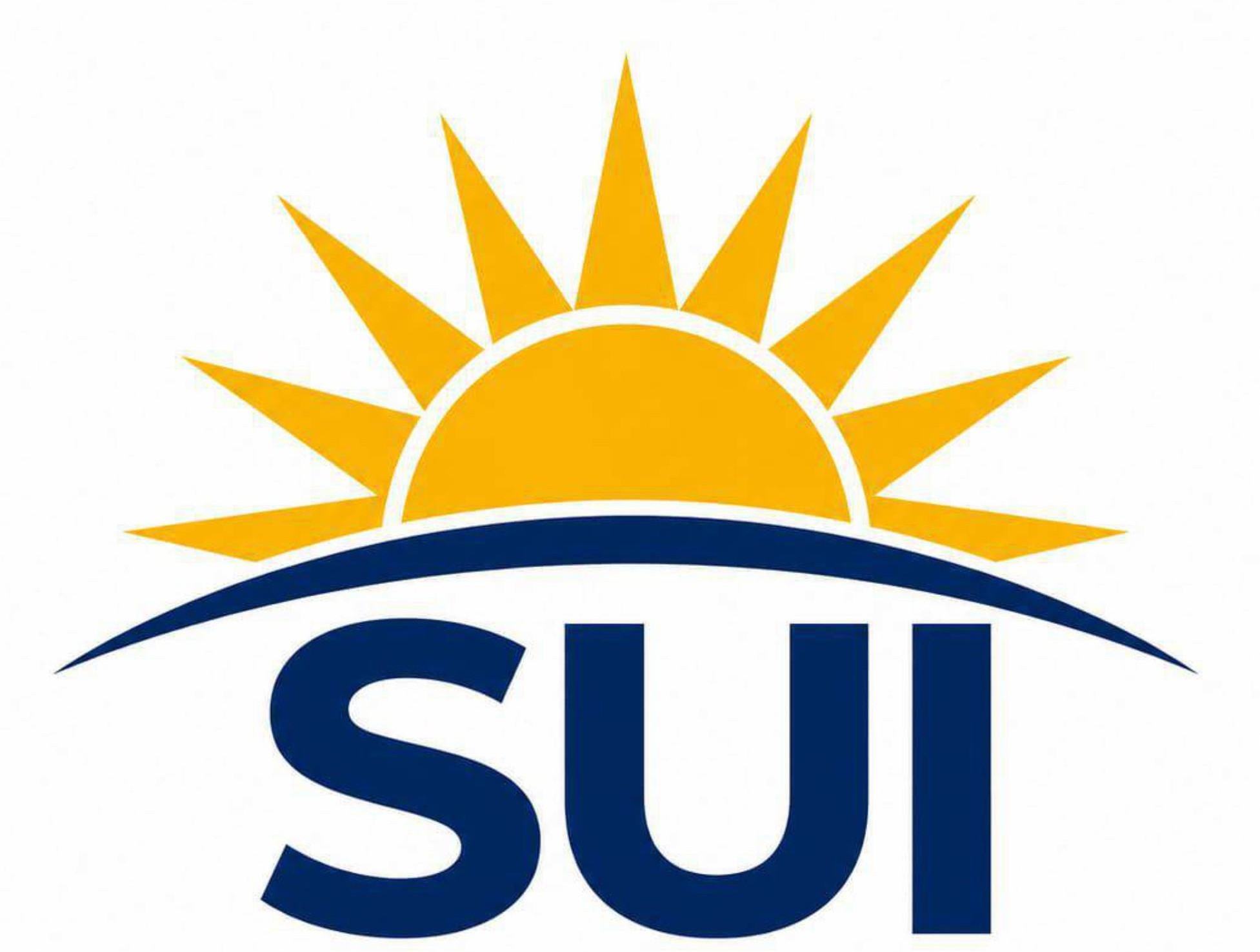 PT Surya Utama International